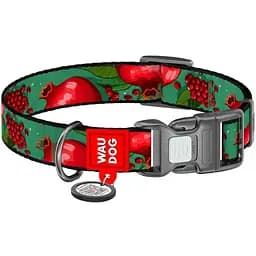Нашийник для собак нейлоновий Waudog Nylon з QR паспортом малюнок Гранати М