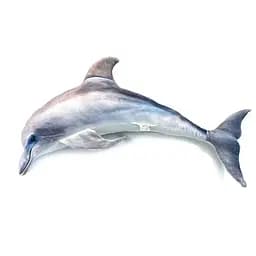 Дитяча м'яка іграшка "Дельфін" Сувенір-Декор DOL, розмір 80 см