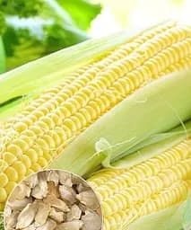 Кукурудза Весна "Снігова королева" на вагу, ціна за 40 г (22343)