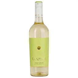 Вино Fantini Terre d'Abruzzo Pinot Grigio IGT белое сухое 10.5-15% 0.75 л