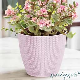 Горщик для квітів Serinova Sumela, 2.5 л, антрацитовий (SML3-Antrasit) - мініатюра 7