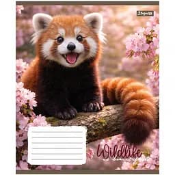 Набір зошитів 1 Вересня Wildlife is beautiful А5 18 аркушів у клітинку 25 шт. (769144) - мініатюра 6