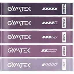 Набір резинок для фітнесу Gymtek 0,5-30кг фіолетовий