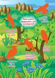 Велика книжка. Розвивальні наліпки. Розумні завдання. Птахи - мініатюра 3