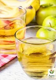 Саджанець Agro-Market Яблуня Антонівка (осінній сорт, середній термін дозрівання) 1 шт. в упаковці (25755) - мініатюра 4