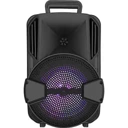 Портативна колонка BiG BLUESKY 100W два радіомікрофони караоке - мініатюра 2