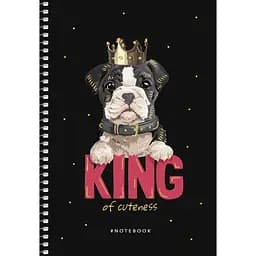 Зошит для записів Student А5, у клітинку, спіраль, 80л., Сuteness king (A5-SC-080-6077K)