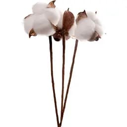 Гілка декоративна Yes! Fun Бавовна 30 см 3 шт. (974814)