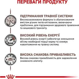 Сухий корм для котів Royal Canin Gastrointestinal при порушеннях травлення 2 кг - мініатюра 3