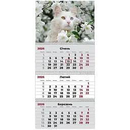 Календар настінний Axent Cats 3 квартальний 2026 рік (8803-26-15-A)