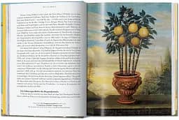 J. C. Volkamer. The Book of Citrus Fruits. 45th Edition - мініатюра 4