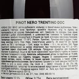Вино Albino Armani Pinot Nero Trentino Santa Lucia DOC, червоне, сухе, 12,5%, 0,75 л - мініатюра 6