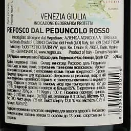 Вино Alturis Refosco, червоне, сухе, 0,75 л (ALR15753) - мініатюра 4