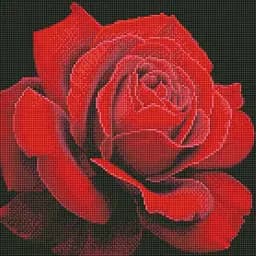 Алмазная мозаика Ideyka Красная роза annasteshka 40х40 см (AMO7634)