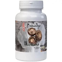 Шіїтаке Bekandze для відновлення організму після хвороби 500 мг 60 таблеток