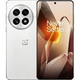 Смартфон OnePlus 13 12/256GB Arctic Dawn Global [150523]