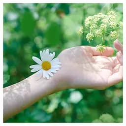 Гігієнічні прокладки Naturella Ultra Normal Plus, 18 шт. - мініатюра 4