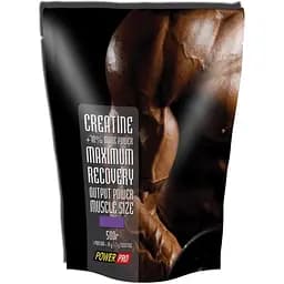 Креатин моногідрат Power Pro Creatine 500 г
