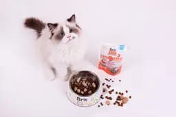 Ласощі для котів Brit Care Raw Treat Indoor & Antistress з куркою 40 г - мініатюра 3