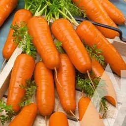 Морковь Садиба Карини 1 г 