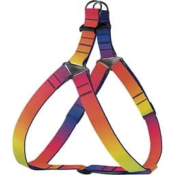 Шлея для собак BronzeDog Urban Art Градієнт M 45-56 см