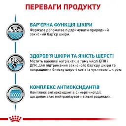 Вологий корм для котів Royal Canin Skin & Coat 85 г (4092001) - мініатюра 2