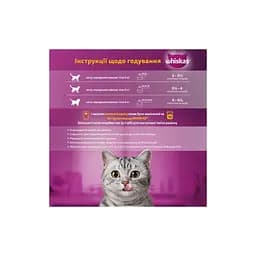 Вологий корм для кішок Whiskas курка, індичка в желе 4х85 г (4770608263676) - мініатюра 5