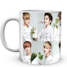 Кружка GeekLand EXO Цветы и автографы CP 04.474.272 330 мл белая