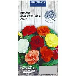 Бегония Семена Украины Великоцветковая 10 шт семян смесь  
