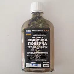 Водная настойка на траве живучка ползучая 200 мл