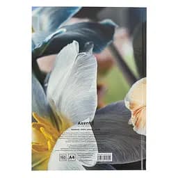 Книга записна Axent Flora A4 в клітинку 192 аркуша жовта (8423-27-A) - мініатюра 4
