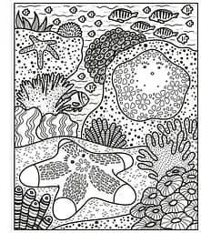 Розмальовка Coral Reef Magic Painting Book - Abigail Wheatley, англ. мова (9781474994743) - мініатюра 2