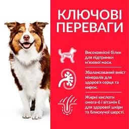 Сухий корм Hill's SP Can Mature Adult 7+ Medium C 2,5 кг для зрілого собаки 7+ середніх порід - мініатюра 3