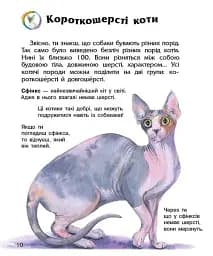 Коти. Енциклопедія дошкільника - мініатюра 2