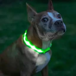 Нашийник для собак UFT PET LED 1 Green M з підсвічуванням на батарейках - мініатюра 3