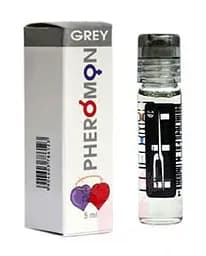 Духи MiniMax Grey №2 - Hugo Boss Green (5 мл) PheroMix парф grey №2 чол 87508