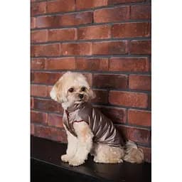 Жилет Pet Fashion Hardy для собак розмір M2 - мініатюра 8