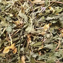 100 г анемона желтая/ветреница лютиковая трава сушеная - свежий урожай