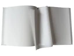 Альбом EVG 20sheet Sring Twig 29х32см (20sheet T29x32 Sring Twig) - мініатюра 2
