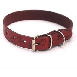 Нашийник для собак Zoo-hunt ОТ Лапка шкіряний тиснений червоний 1,4/23-28 см