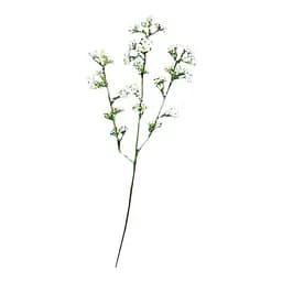 Ветвь Гипсофила 99-250