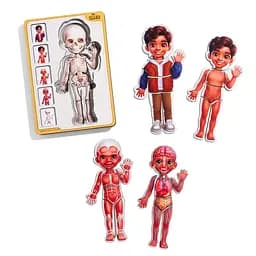 Дерев'яний пазл-вкладиш "Анатомія людини - хлопчик-2" Ubumblebees (ПСД261) PSD261 будова тіла