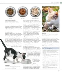 The Cat Encyclopedia - мініатюра 23