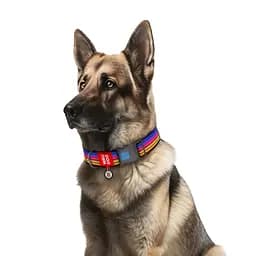 Нашийник для собак Waudog Nylon з QR паспортом, Лінія 1, пластиковий фастекс, XXL, 46-70х3,5 см - мініатюра 3