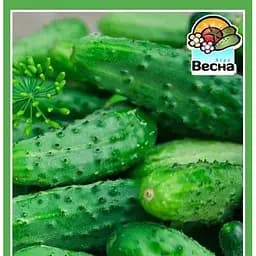 Семена Весна Огурец Засолочный 0.5 г (10577)