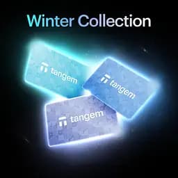 Криптогаманець Tangem 2.0 Wallet Shades of Winter Collection набір з 3 карток (TG-WINTER) - мініатюра 2