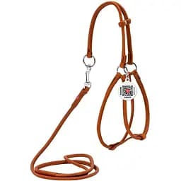 Шлея з повідцем для собак Waudog Soft з QR паспортом шкіряна кругла Д 6 мм, А 26-46 см, В 30-50 см коричнева