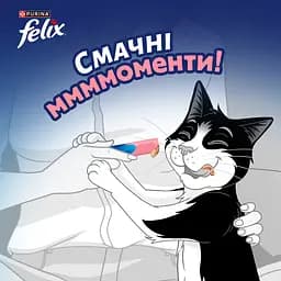 Уцінка. Вологий корм для дорослих котів Felix cмачні моменти додатковий з лососем 4 шт. х 10 г - мініатюра 8