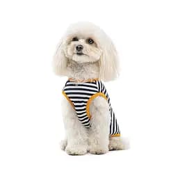 Боротьба Kale Pet Fashion для собак XS смугаста - мініатюра 3