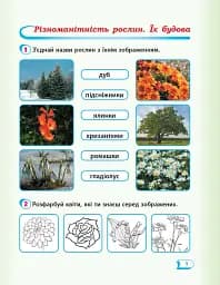 Я досліджую світ. 1 клас. Робочий зошит. Частина 2 - мініатюра 2